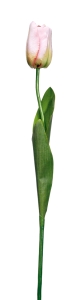 Euroflor | 63553.03 TULIP 2 leaves тюльпан розовый Euroflor
