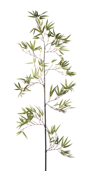 Euroflor | 62464 BAMBOO STEM Euroflor