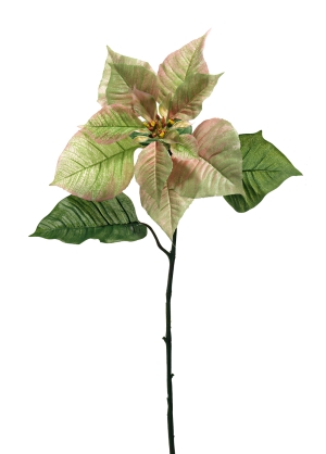Euroflor | 66292 OH-CHRISTMAS VEINOUS POINSETTIA L=68cm Euroflor