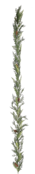 Euroflor | 55302 PLASTIC PRICKLY PINE GARLAND W/CONES L=180cm Euroflor