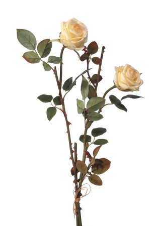 Euroflor | 54362.02 Rose X2 bianco H60cm Euroflor