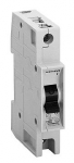 SIEMENS | 5SQ21700KA01   1P 01 3C Siemens