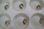 |  14718  Bubble Round 32 Blessligh